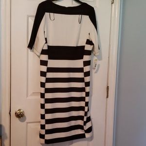 Metaphor collection womens dress size 12